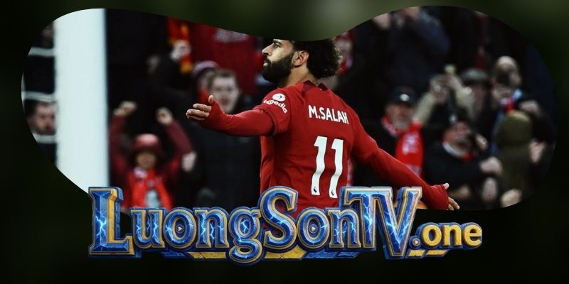 Gợi ý chốt kèo tổng hợp trận Brentford vs Liverpool ngày 17/10